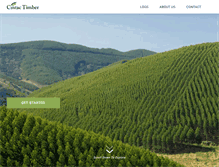 Tablet Screenshot of cintactimber.com